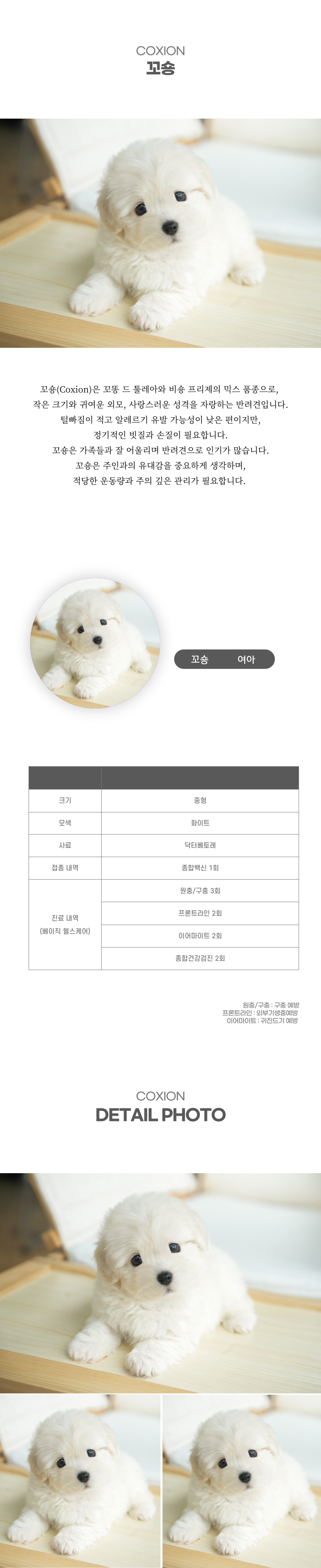 꼬숑_상세이미지_2